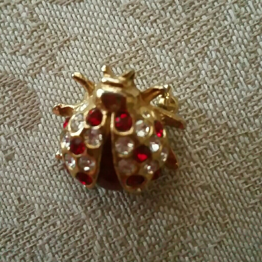 Ladybug  pin